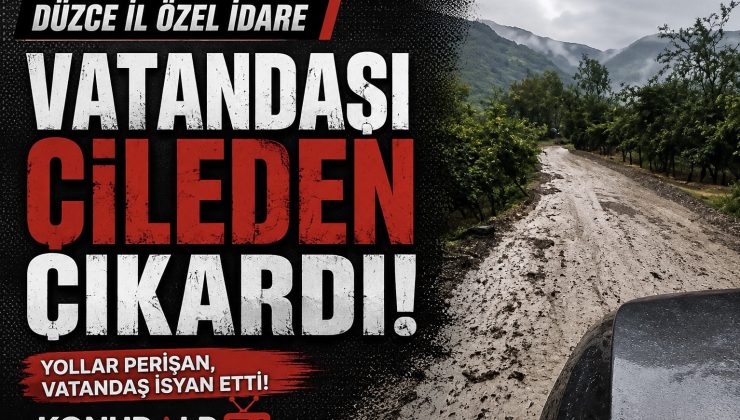 Düzce İl Özel İdaresi Vatandaşı Çileden Çıkardı: “Ben Böyle Kepazelik Görmedim!”