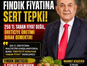 İş İnsanı Mahmut Ataseven’den Fındık Fiyatına Sert Tepki: “250 TL Taban Fiyat Değil!”